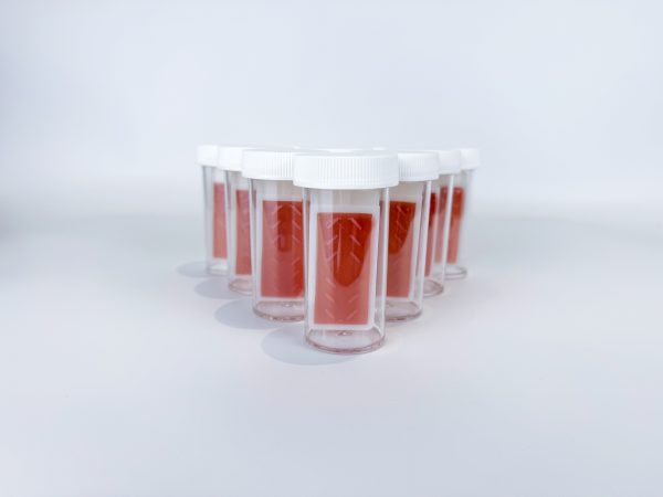 Sani-Check BC Dipslides - Image 4