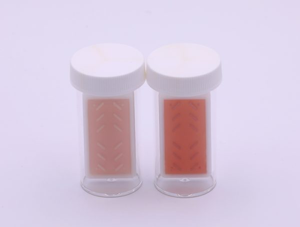 Sani-Check BC Dipslides - Image 2